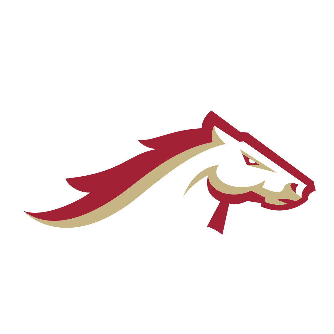 Birmingham Stallions